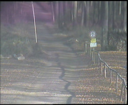 Nástup na běžecké tratě