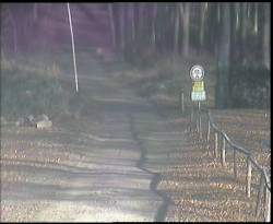 Nástup na běžecké tratě