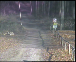 Nástup na běžecké tratě