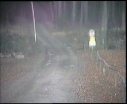 Nástup na běžecké tratě