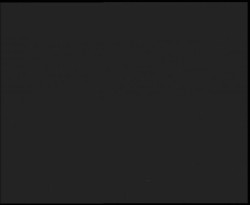 Nástup na běžecké tratě