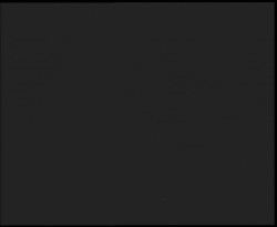 Nástup na běžecké tratě