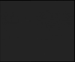 Nástup na běžecké tratě