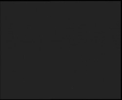 Nástup na běžecké tratě