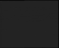 Nástup na běžecké tratě