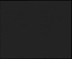 Nástup na běžecké tratě