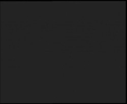 Nástup na běžecké tratě