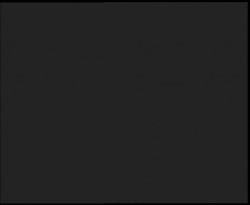 Nástup na běžecké tratě