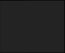 Nástup na běžecké tratě