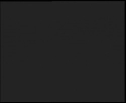 Nástup na běžecké tratě