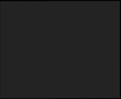 Nástup na běžecké tratě