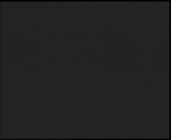 Nástup na běžecké tratě