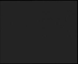 Nástup na běžecké tratě