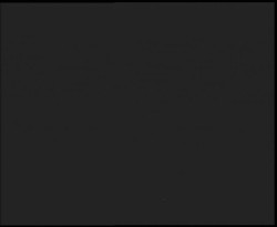 Nástup na běžecké tratě