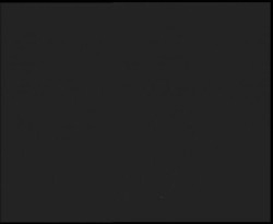 Nástup na běžecké tratě