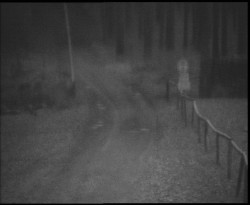 Nástup na běžecké tratě