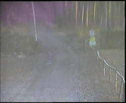 Nástup na běžecké tratě