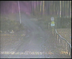 Nástup na běžecké tratě