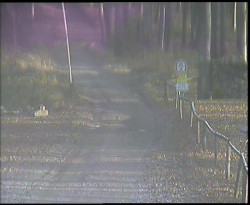 Nástup na běžecké tratě