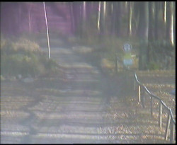 Nástup na běžecké tratě