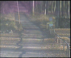 Nástup na běžecké tratě