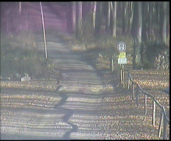 Nástup na běžecké tratě