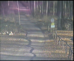 Nástup na běžecké tratě