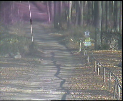 Nástup na běžecké tratě