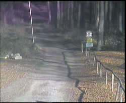 Nástup na běžecké tratě