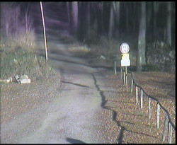 Nástup na běžecké tratě