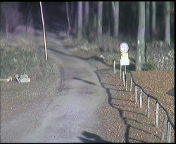 Nástup na běžecké tratě