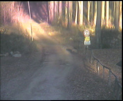 Nástup na běžecké tratě