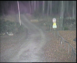 Nástup na běžecké tratě