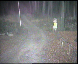 Nástup na běžecké tratě