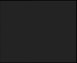 Nástup na běžecké tratě