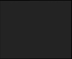 Nástup na běžecké tratě