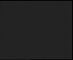 Nástup na běžecké tratě