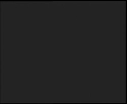 Nástup na běžecké tratě