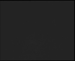 Nástup na běžecké tratě