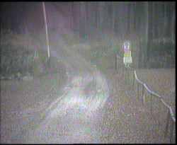 Nástup na běžecké tratě