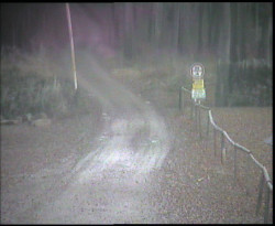 Nástup na běžecké tratě