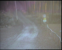 Nástup na běžecké tratě