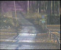 Nástup na běžecké tratě