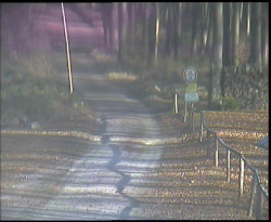 Nástup na běžecké tratě