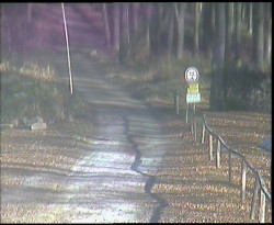 Nástup na běžecké tratě