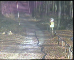 Nástup na běžecké tratě