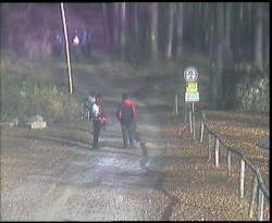 Nástup na běžecké tratě