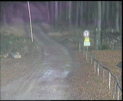 Nástup na běžecké tratě