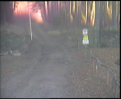 Nástup na běžecké tratě