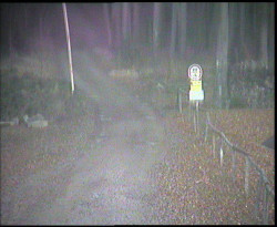 Nástup na běžecké tratě